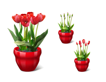 Geek Tip: Give the Gift of Virtual Flowers on Valentine's Day Geek Tip: Give the Gift of Virtual Flowers on Valentine's Day