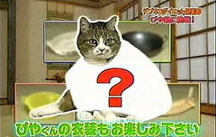 Website of the Day: TV in Japan