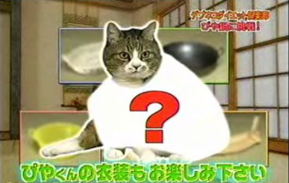 Website of the Day: TV in Japan