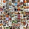 Yummy Link: Tastespotting's Top 100