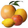 What's in Season: Citrus Is a Winter Fruit