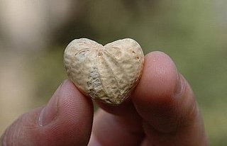 Heart-Shaped Peanuts for Valentine's Day