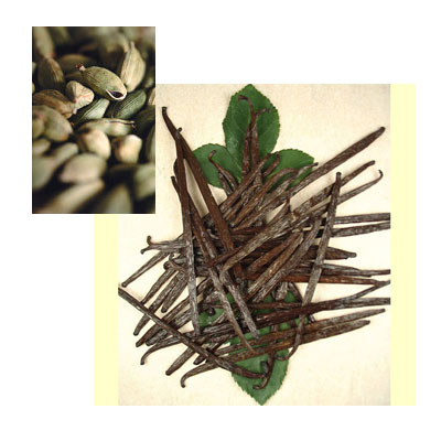 Vanilla Bean and Cardamom