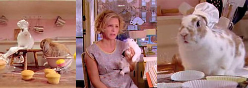 Amy Sedaris's Rabbit Rescue