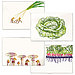 Vegetable Note Cards