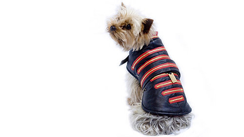 Spend Big for your Pooch with Manfred of Sweden