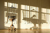 Accessories for the Bird Lovers