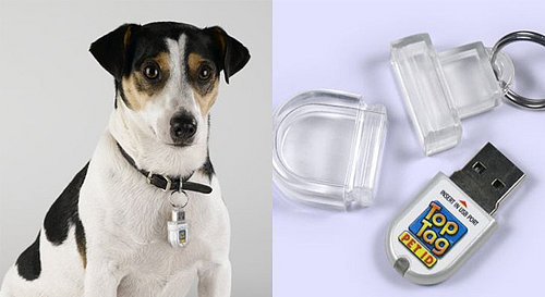 USB ID Tag Stores More Than Your Address