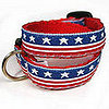 Star Spangle Your Pets on National Anthem Day