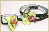 Pampered Pals: Wailea Collar and Lead