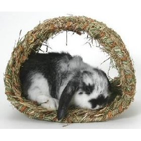 Hide-A-Way Hut For Bunny Playtime