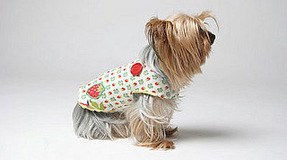Greendog Design for Sustainable Pup Fashions