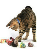 Cat Toys from Unused Yarn Cat Toys from Unused Yarn
