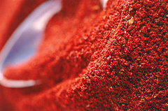 Happy Hot and Spicy Day! Happy Hot and Spicy Day!
