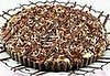 Yummy Link: Girl Scout Samoa Cheese Tart