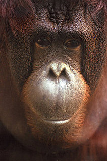 Evolution Responsible For Money Beliefs