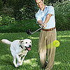 New Year of Gifts: Doggie Driver