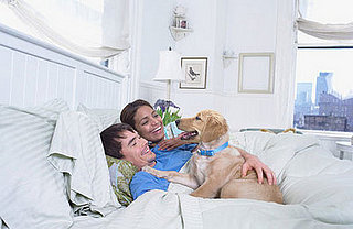 Who Decides to Adopt?