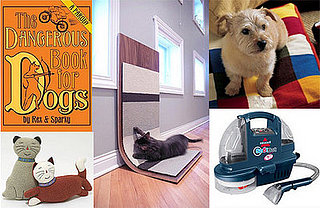 Pet's January Must Haves