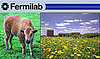 Out and About: Illinois' Fermilab