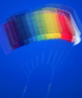 Friday Mythbuster: What Colors Do Doggies See?