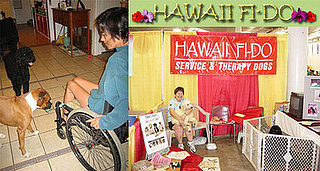 Out and About: Hawaii's Hawaii Fi-Do