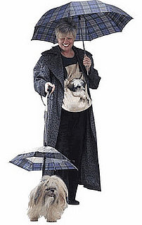 Dog Umbrella: Spoiled Sweet or Spoiled Rotten?