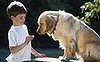 Quick Training Tip: Give Tiny Treats