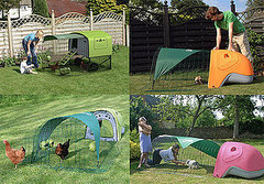 This (New) Home: Eglu This (New) Home: Eglu
