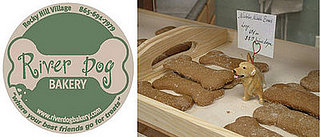 Out and About: Tennessee's River Dog Bakery