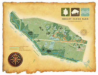 Out and About: Tennessee's Shelby Farms Park