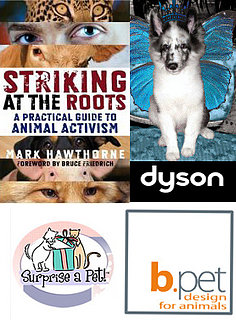 Pet's February Must Haves