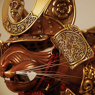 Wild Art: Shielding Cats and Mice . . . From Each Other?