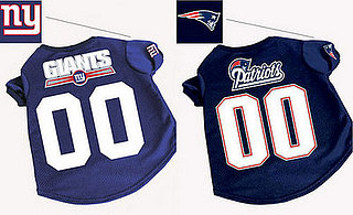 Get Your Pets Geared Up: Giants vs. Patriots