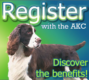 Is Your Dog Registered with the AKC?
