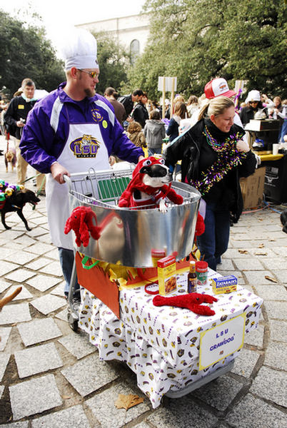 mardi_gras_barkus_parade-002 mardi_gras_barkus_parade-002