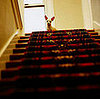Still Scared of Stairs?