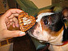 Happy Valentine's Day: Treat You . . . or Your Pets?