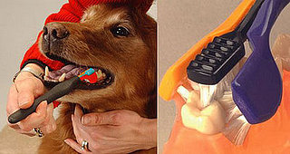Clean Teeth With a Brush?