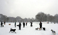 Globetrotters: Blizzard Hits Big Apple