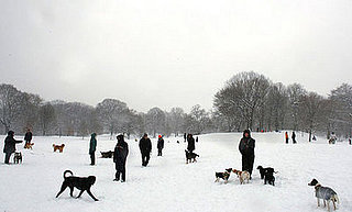 Globetrotters: Blizzard Hits Big Apple