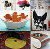 Pet's March Must Haves