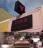Out and About: D.O.G. Pet Boutique