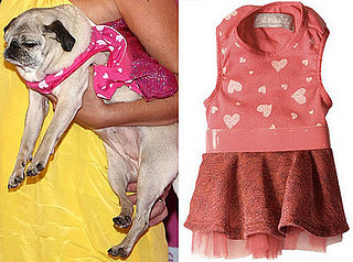 Found! Mimi La Rue's Lilydress