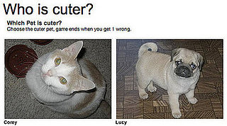 Two Little Cutie Pies, Do You Have a Fave?