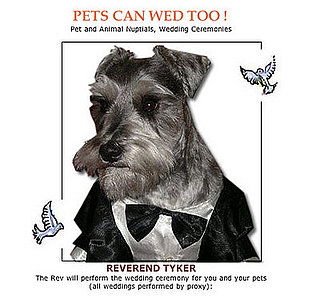 Pets Can Wed, Too!