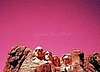 Etsy Find: Presidents in Pink