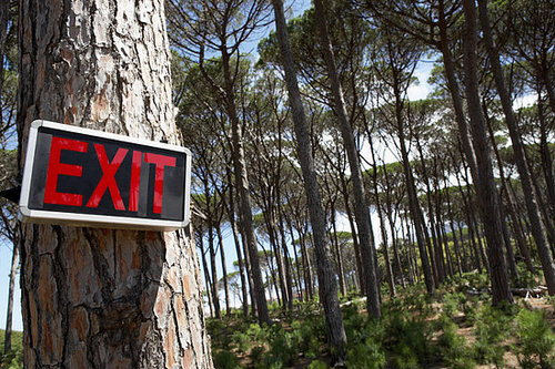 Political Exit Strategy