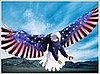 US Military Brings Freedom to the Blogosphere
