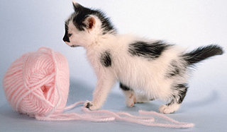 Tricks My Mama Taught Me: Ball of Yarn